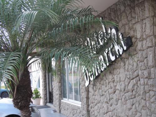 南河镇Hotel Demarchi的石墙前的棕榈树