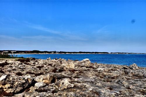 切萨雷奥港Oasi San Pio的一群岩石在水体的岸边