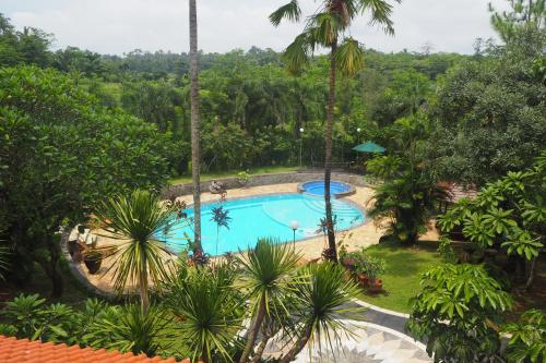 哲帕拉格科乡村旅馆的享有度假村游泳池的顶部景致
