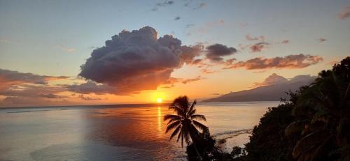 Maui Homestay Vue Océan Exceptionnelle & Baleines en Saison