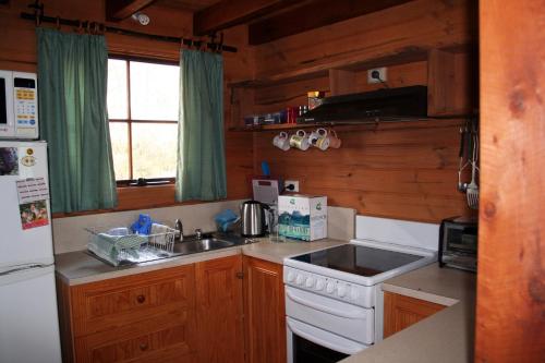 MoinaWombat Cabin的厨房配有水槽、炉灶和冰箱