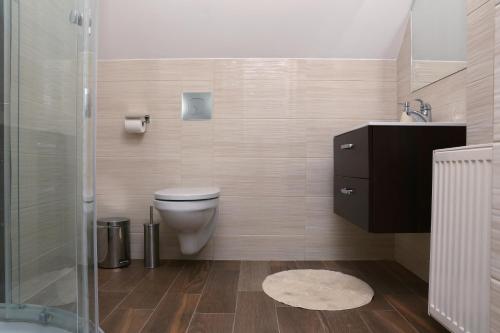 绿山城Hostel Grono的浴室配有卫生间、盥洗盆和淋浴。