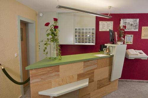 鲁多尔施塔特爱特姆全景酒店及餐厅 的厨房设有绿色的柜台和红色的墙壁