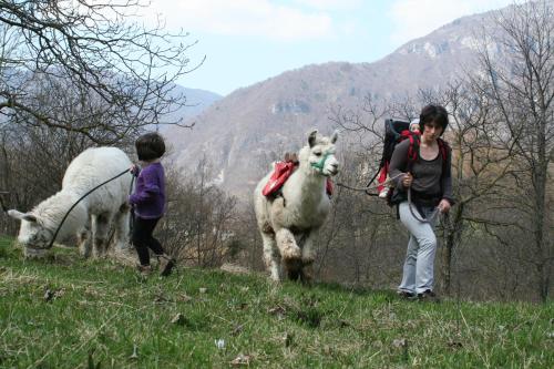 LastebasseIl Capriolo Felice - Agriturismo的相册照片