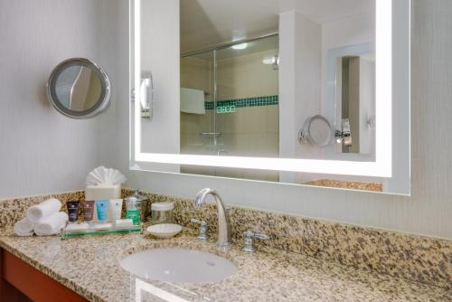 赫恩登Crowne Plaza Dulles Airport, an IHG Hotel的一间带水槽和镜子的浴室