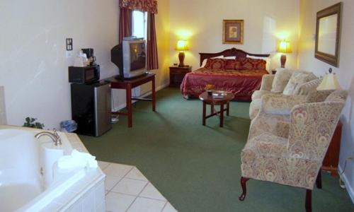 Colonie Inn and Suites的休息区