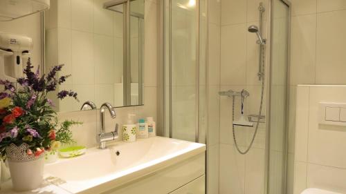 格拉茨Apartement Maria Trost的带淋浴、盥洗盆和淋浴的浴室