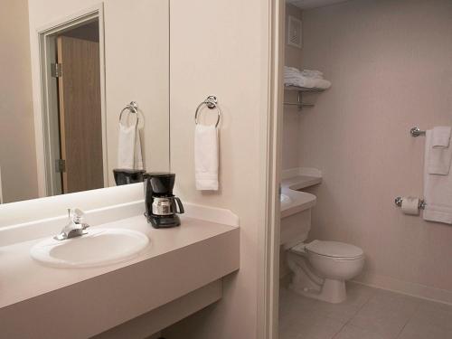 费尔班克斯大熊酒店的一间带水槽、卫生间和镜子的浴室