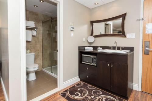 德拉蒙德维尔Hotel & Suites Le Dauphin Drummondville的一间带水槽、卫生间和镜子的浴室