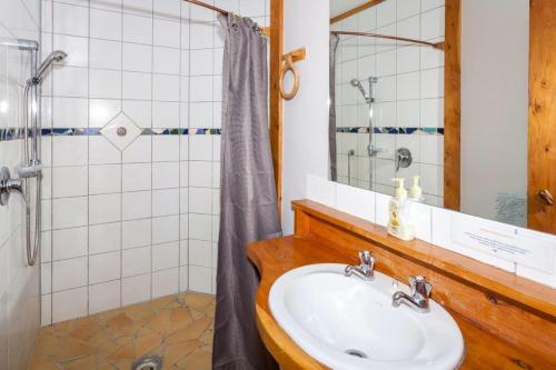 Kuaotunu瑞佛斯公寓的一间带水槽和淋浴的浴室