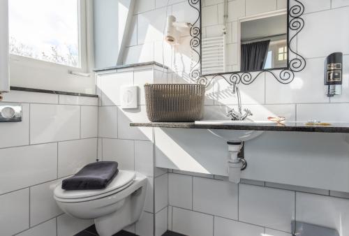 弗利辛恩弗利辛恩别墅酒店的一间带卫生间、水槽和镜子的浴室