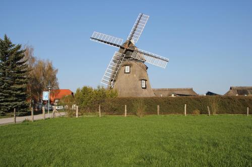 Hotel Mecklenburger Mühle Garni picture 1