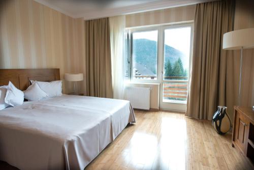 科瓦斯纳Hotel TTS**** Spa&Wellness Covasna的酒店客房设有一张床和一个大窗户