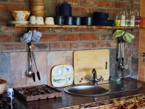 帕特森Pure Nature Familodge的一个带水槽和砖墙的厨房台面