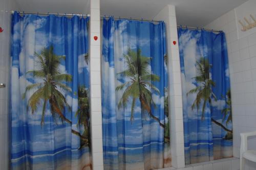 贝拉帕法瓦Bélkő Panzió的浴室设有蓝窗帘,种有棕榈树