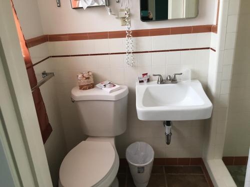 蒙蒂塞洛蒙蒂塞洛旅馆的一间带卫生间和水槽的浴室