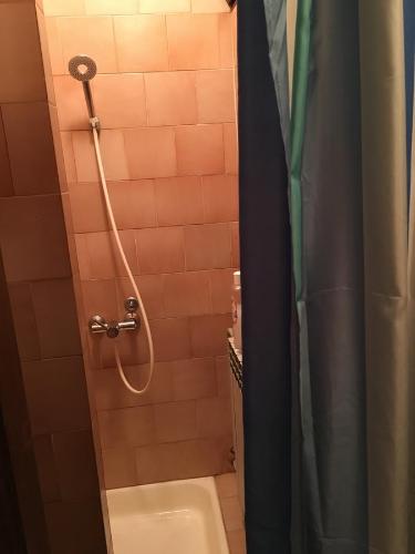 奥古林Room Bonaca的带淋浴、卫生间和盥洗盆的浴室