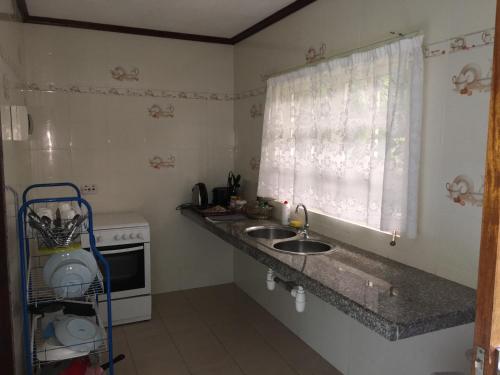 贝圣安那蓝天自助宾馆 的一个带水槽和窗户的小厨房
