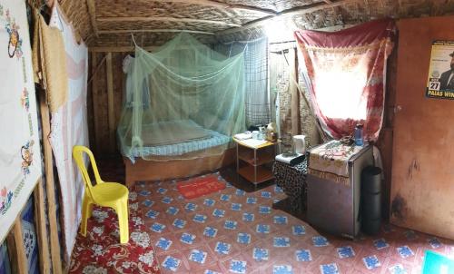 Ngut Tours and Lodge