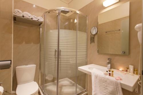 Kanallákion阿赫隆酒店的带淋浴、卫生间和盥洗盆的浴室