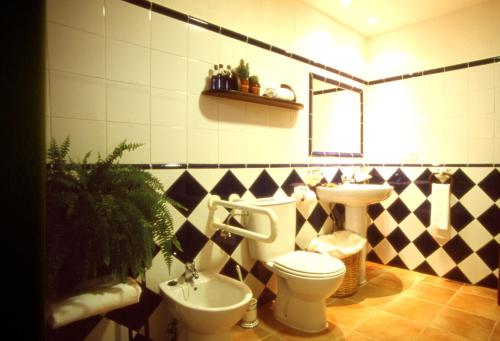 比利亚尔瓦德拉谢拉尼丽亚乡村旅馆的一间带卫生间和水槽的浴室