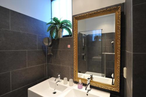 阿姆斯特丹阿姆斯特丹波斯特霍恩酒店的一间带水槽和镜子的浴室