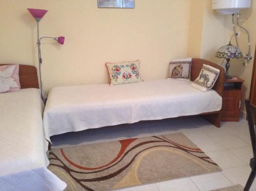 埃格尔格拉古亚斯公寓的配有两张单人床的客房,铺有地毯