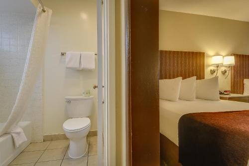 毕夏普瓦格邦德主教酒店的酒店客房设有一张床和一间带卫生间的浴室