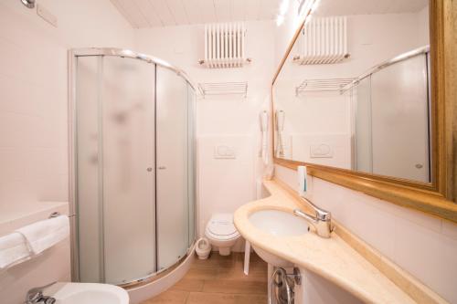里乔内亚历山大酒店的带淋浴、盥洗盆和卫生间的浴室