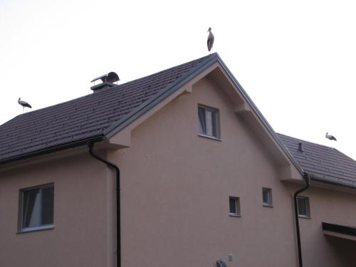 巴诺夫茨阿特拉公寓的屋顶上鸟儿的房子
