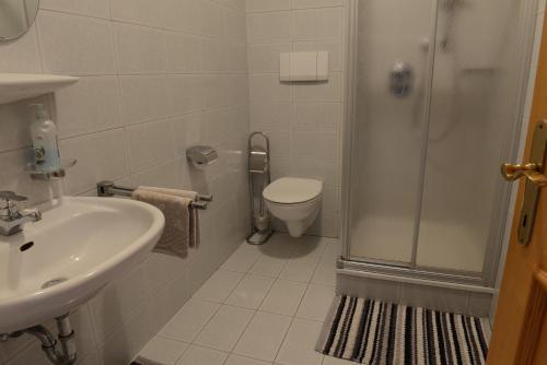 韦尔图尔诺布伦纳霍夫酒店的带淋浴、盥洗盆和卫生间的浴室
