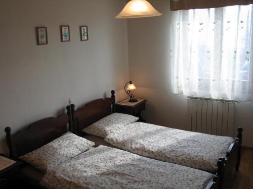 科巴里德Tourist Farm Žvanč的卧室设有两张单人床和窗户。