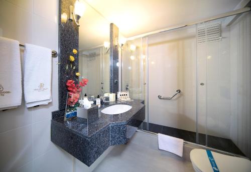 伊斯坦布尔格米尔帕莱酒店 - 特殊类的一间带水槽和淋浴的浴室