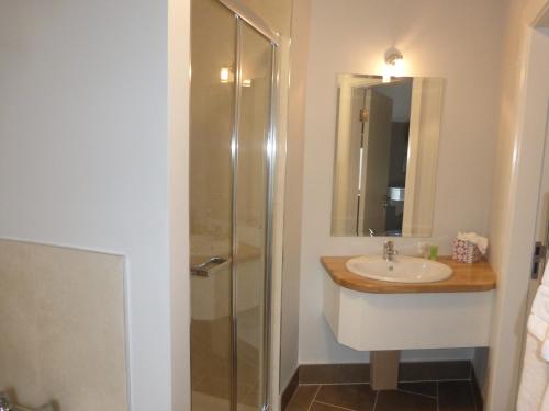 康镇瑞安酒店的一间带水槽和淋浴的浴室