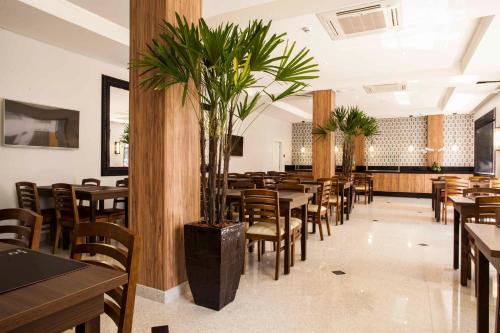 圣保罗格兰德巴朗酒店的一间设有桌椅的餐厅,种植了棕榈树