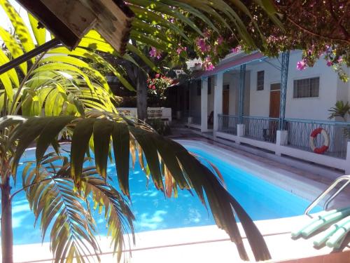 太子港帕克酒店的享有棕榈树游泳池的景色