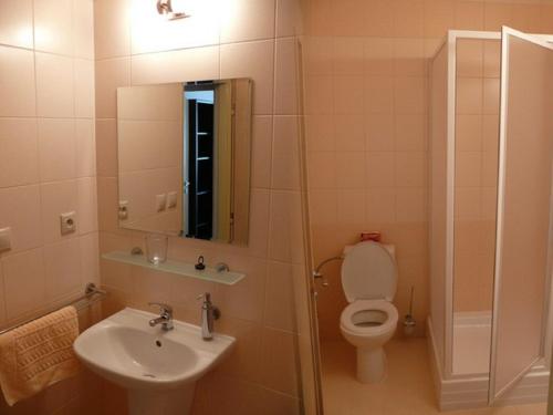 大梅杰尔Aquasleep II的一间带水槽、卫生间和镜子的浴室