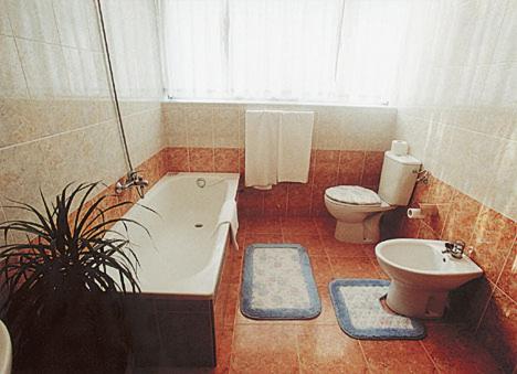 略迪奥巴耶阿亚拉酒店的带浴缸、卫生间和盥洗盆的浴室