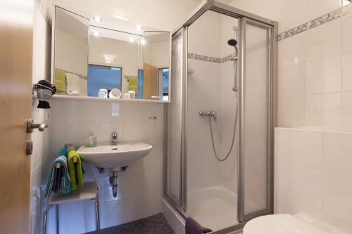 维林根Haus Alexandra的带淋浴、盥洗盆和卫生间的浴室