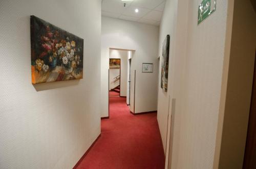 汉堡波罗佐布酒店的走廊上挂着红地毯,墙上挂着一幅画