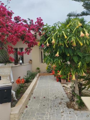 Liza's Place