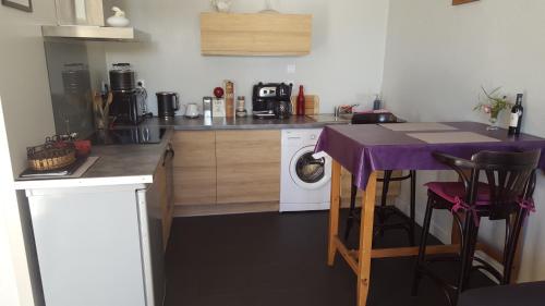 皮斯甘勒克洛斯杜普雷斯比特雷公寓的厨房配有洗衣机和紫色桌子