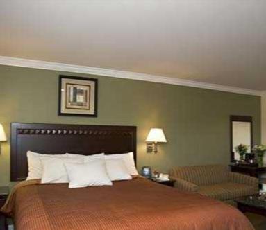 圣拉斐尔北部湾客栈 的酒店客房,配有床和沙发