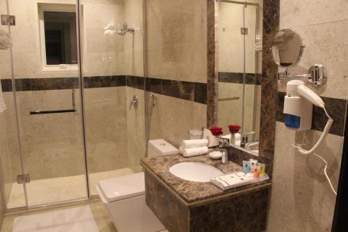 ShaqraLe Park Shaqra的带淋浴、盥洗盆和卫生间的浴室