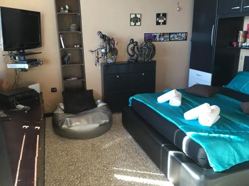 里耶卡Rijeka Fiorino Apartment的一间卧室设有两张床、一台电视和一把椅子