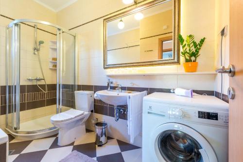 杜布罗夫尼克Apartment with terrace and mini pool Green Gold的一间带洗衣机和水槽的浴室