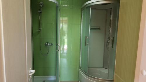 克拉斯拉瓦Hotel in Kraslava的浴室里设有玻璃门淋浴