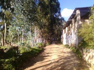 卡哈马卡Wayra Hospedaje的一条土路,靠近墙和树木