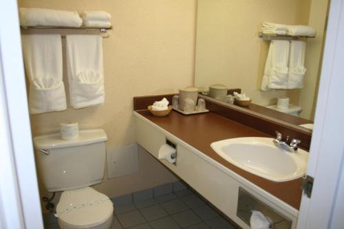 北悉尼北部酒店的一间带水槽、卫生间和镜子的浴室