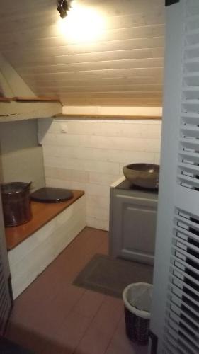 Cantenay-ÉpinardGîte des pêcheurs的小型客房设有两个水槽和炉灶。